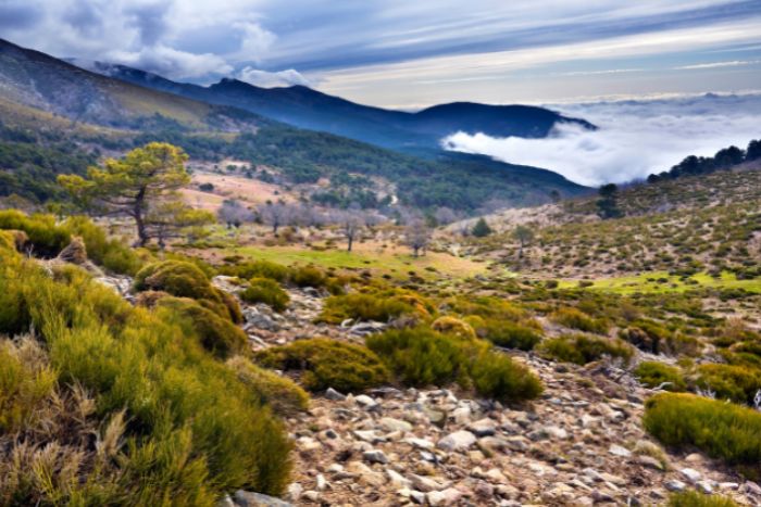 montañas de España