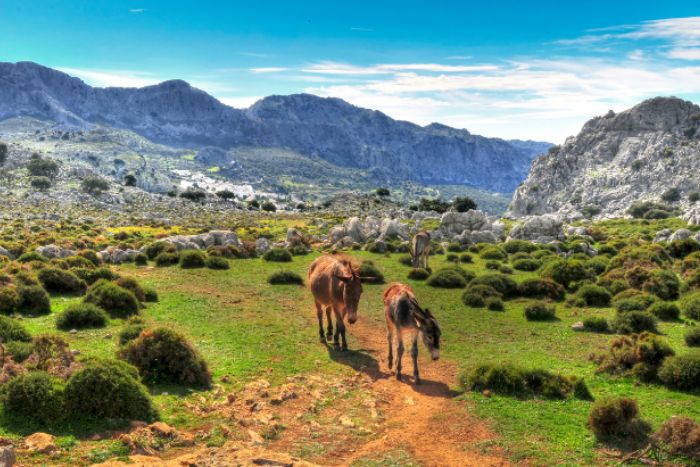 montañas de España