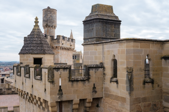 Castillo de Olite 