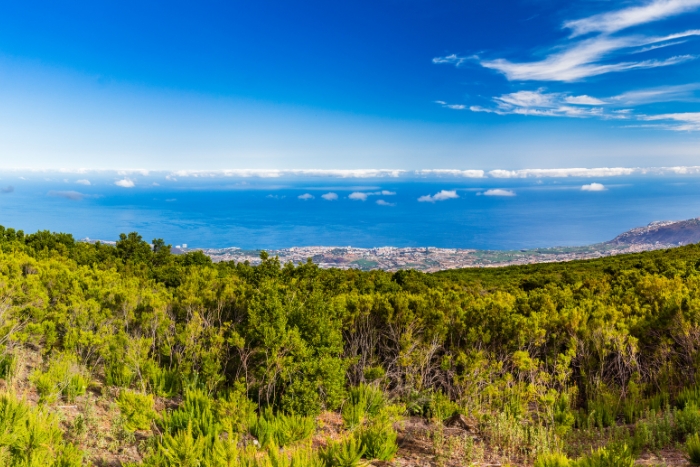 Parque Nacional del Teide
