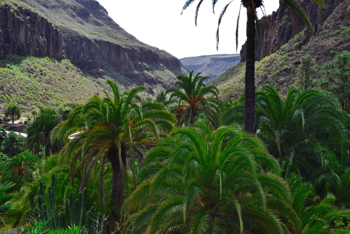 Palmitos Park