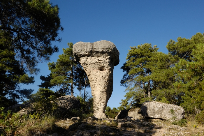 el tormo alto