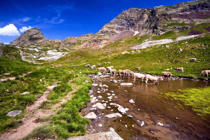 La Cabaña del Turmo Pirineos