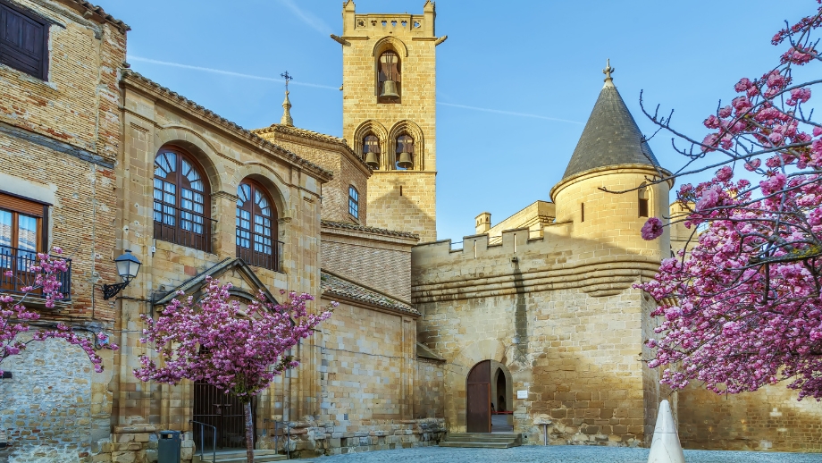 Castillo de Olite 🏰10 sitios fascinantes que no te puedes perder