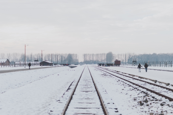 Auschwitz Birkenau