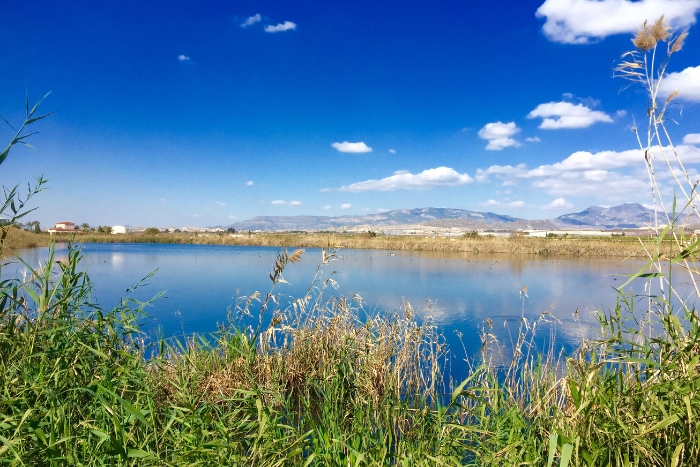 Lago de la Molina