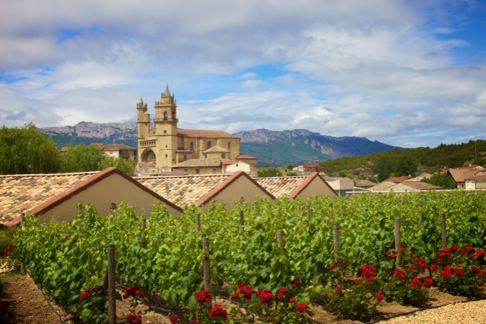 Viñedos riojanos