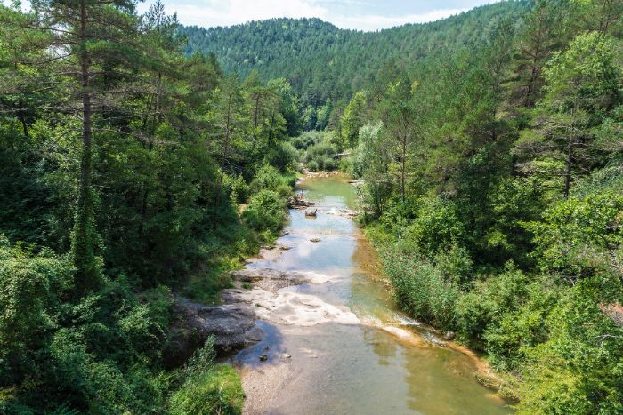 Río en Cataluña 