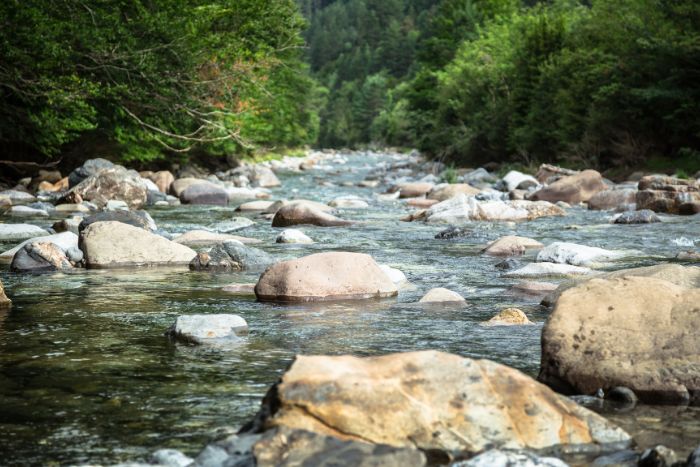 Ríos de España Río Ebro Cantabria