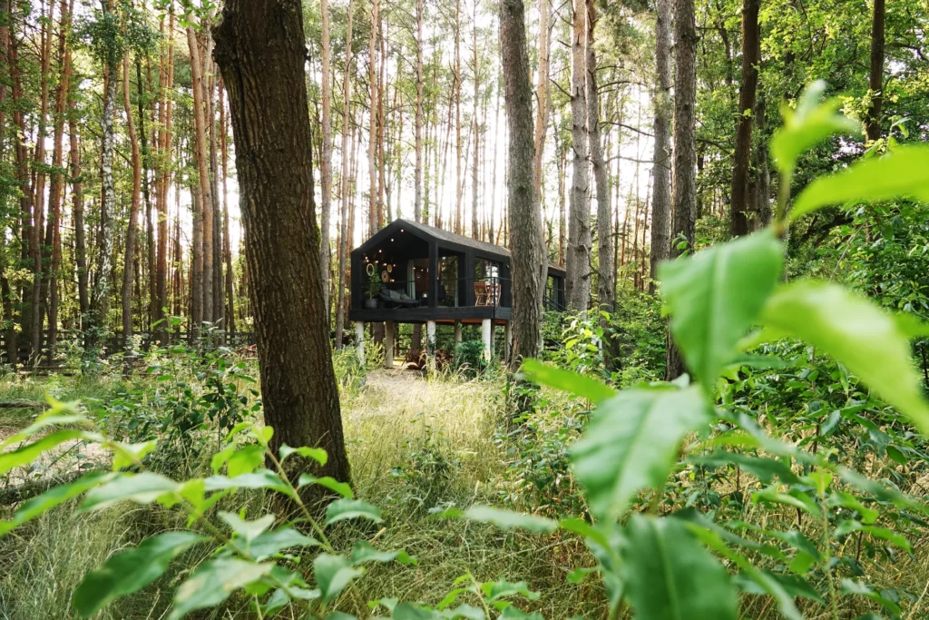 Wyjątkowe noclegi w otoczeniu Natury domek na drzewie Sosnowa Kryjówka