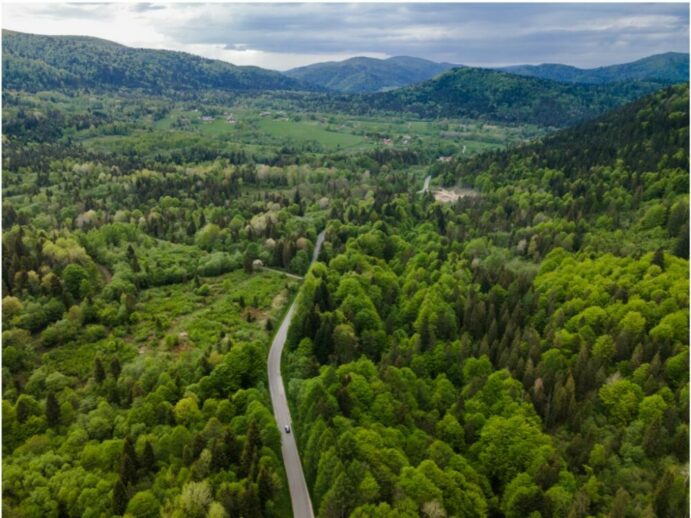 Droga przez Bieszczady