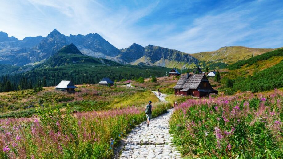 Karpaty Sprawdź 6 miejsc, które warto odwiedzić 🏔️