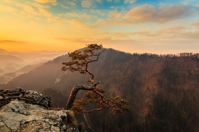 Szczawnica atrakcje: Pieniny