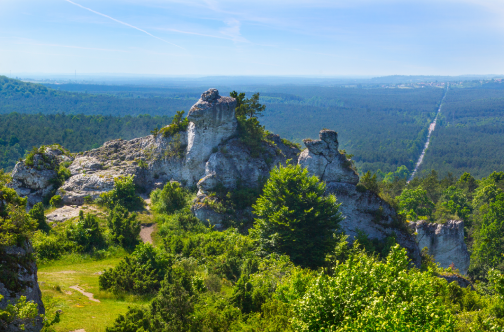 Szlak Orlich Gniazd - Góra Zborów