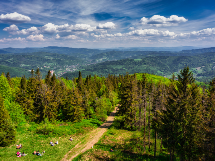 Widok z Czantorii na Beskid Śląski