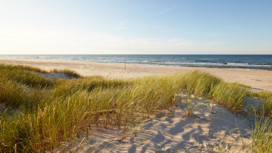 Łeba Atrakcje 6 miejsc do odwiedzenia podczas wakacji na Wybrzeżu Słowińskim 🏖️