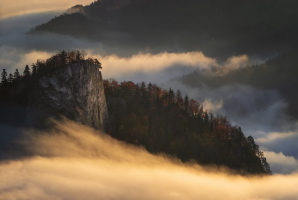 Babia Góra - widok z Sokolicy