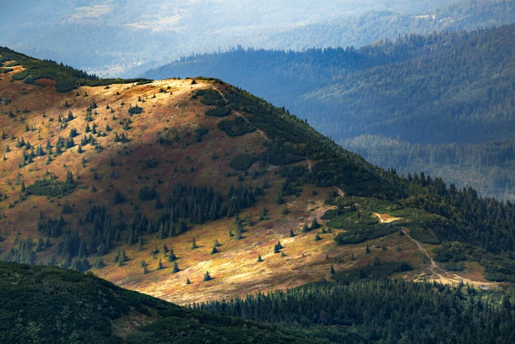 Mały Szlak Beskidzki - Beskid Makowski