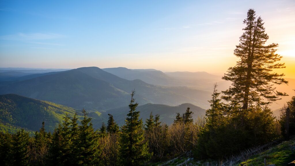 panorama w Beskidzie Makowskim