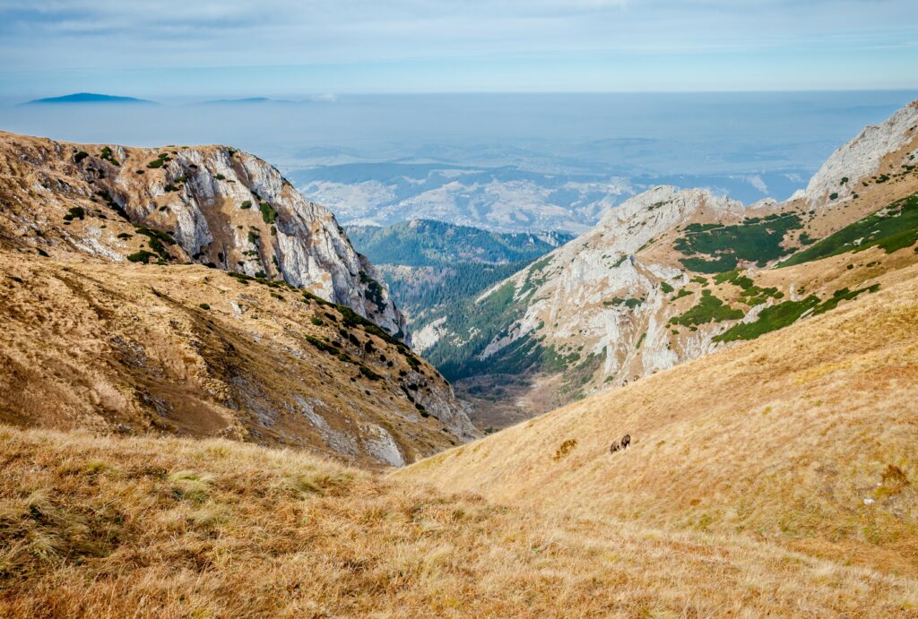 panorama gór - Czerwone Wierchy