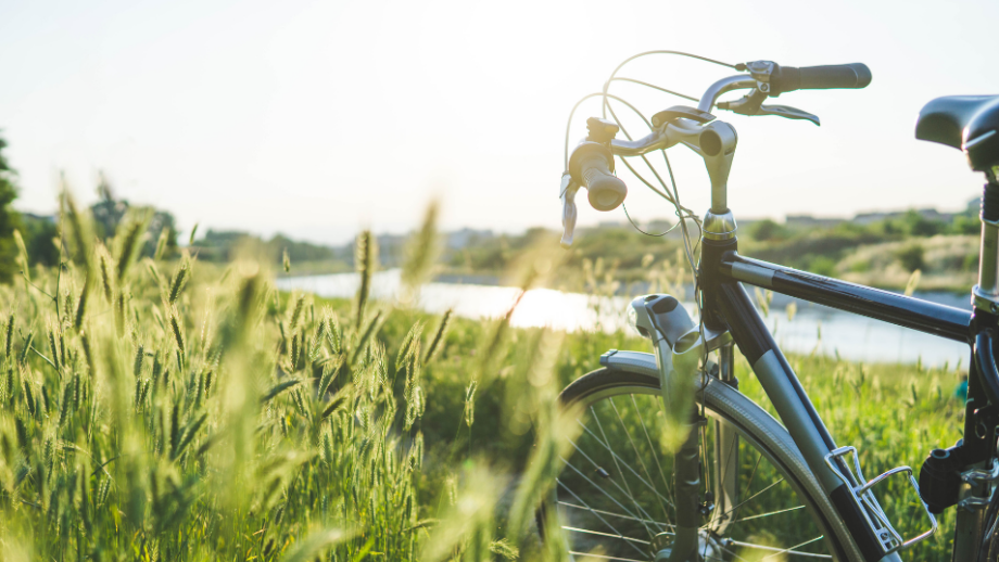 Wiślana Trasa Rowerowa 🚴‍♀️ Odkryj 8 najpiękniejszych miejsc wzdłuż Wisły