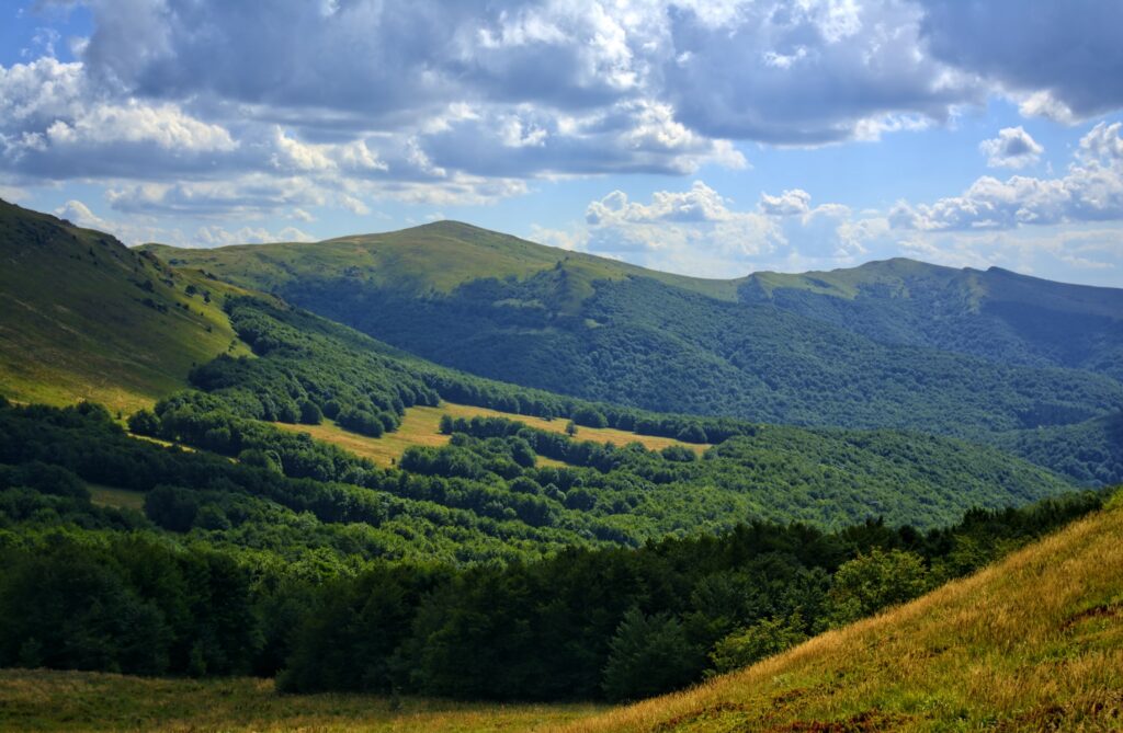 Tarnica szlak