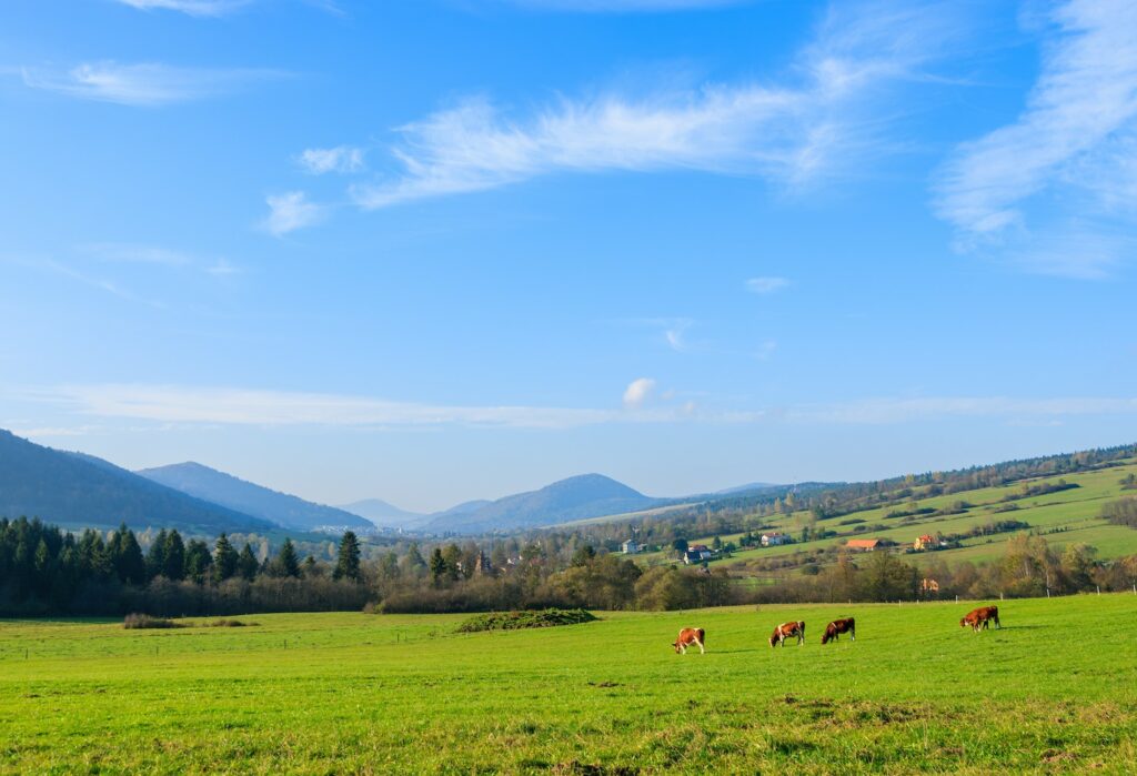 Beskid Niski w wiosennej aurze