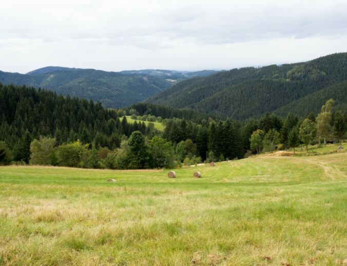 Beskid Śląski i widoki