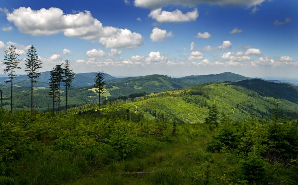 Beskid Śląski