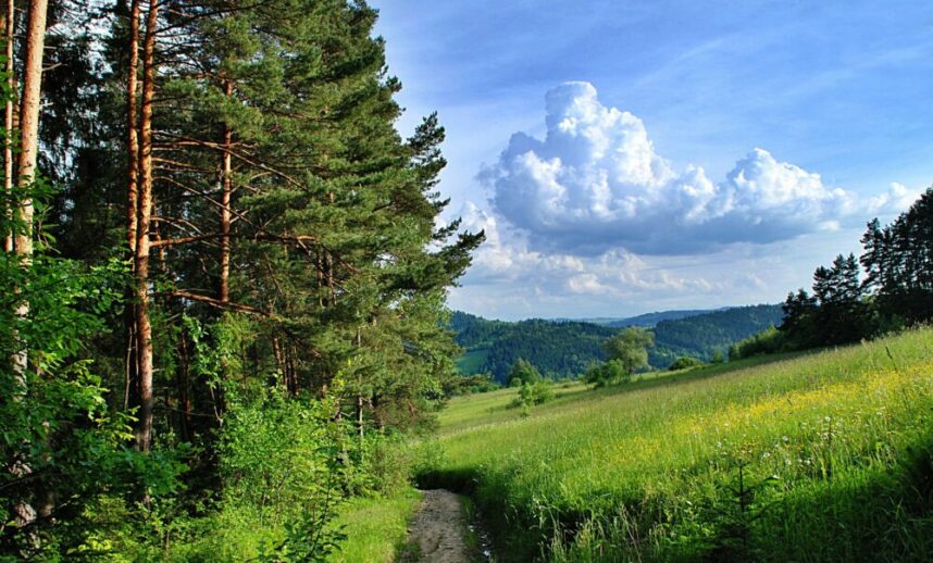 Beskid Wyspowy