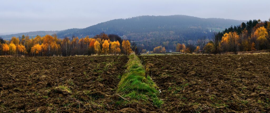 przyrodnicza część Lanckorony