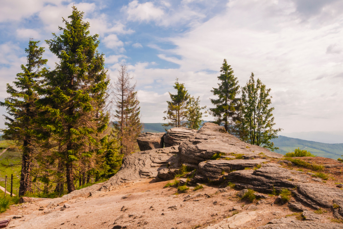 Malinowska Skała Beskid Śląski