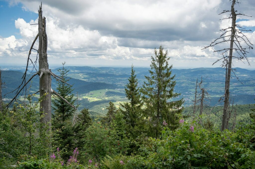 Beskid Wyspowy szlaki turystyczne