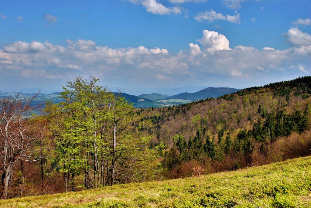 Beskid Wyspowy