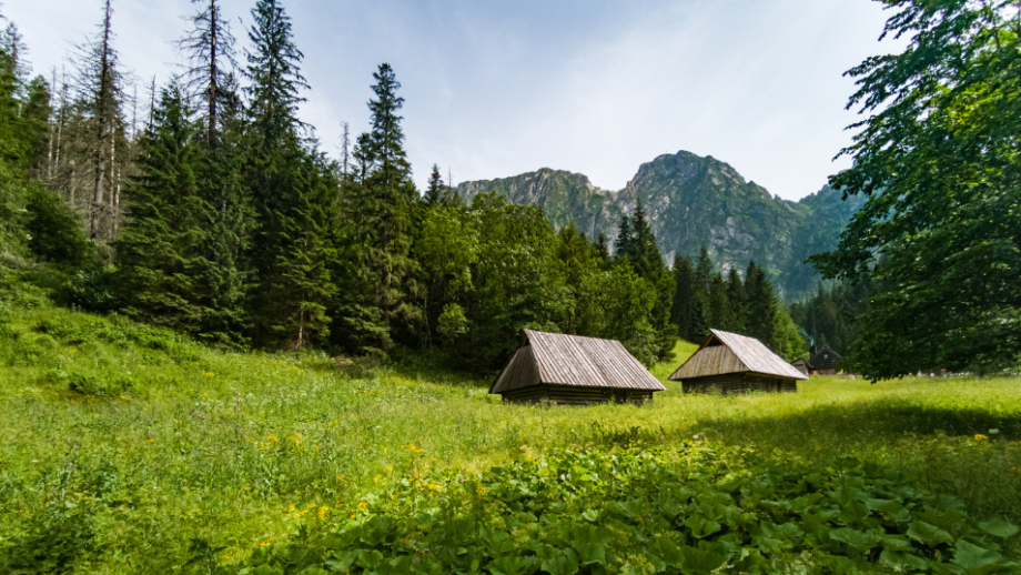 Dolina Strążyska - widok na Giewont