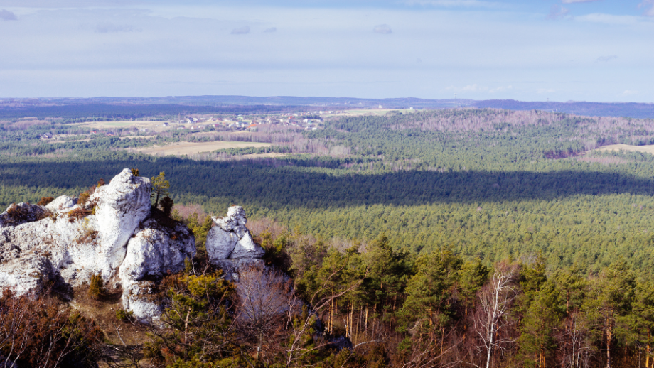 Góra Zborów - widok na szczyt