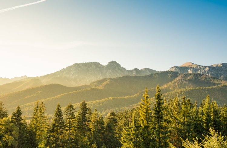 tatry panorama