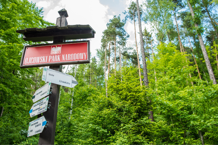 Dolina Będkowska: przygotowanie trasy wycieczki