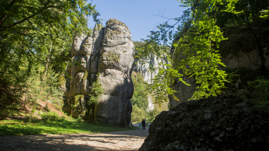 Dolina Będkowska 🏔️ Wybierz się na aktywną przygodę