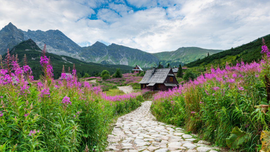 Hala Gąsienicowa 🏞️ 6 tras przez niesamowitą tatrzańską dolinę