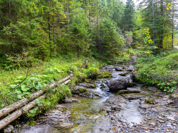 szlak Tatry