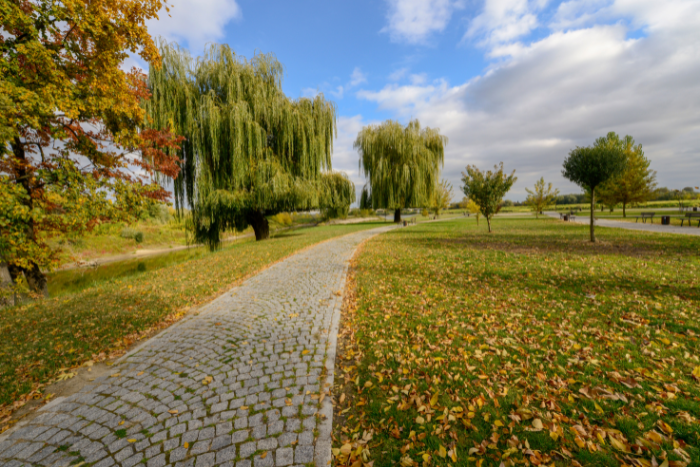 Park Sandomierz