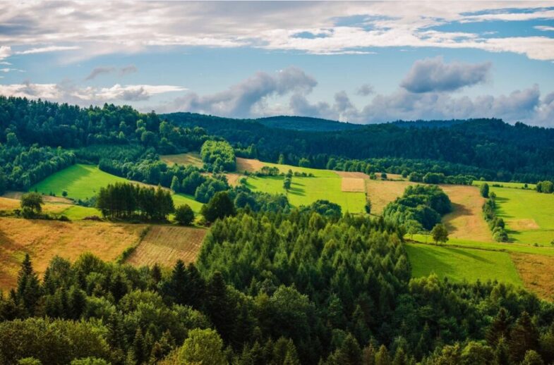 Główny Szlak Beskidzki - Bieszczady