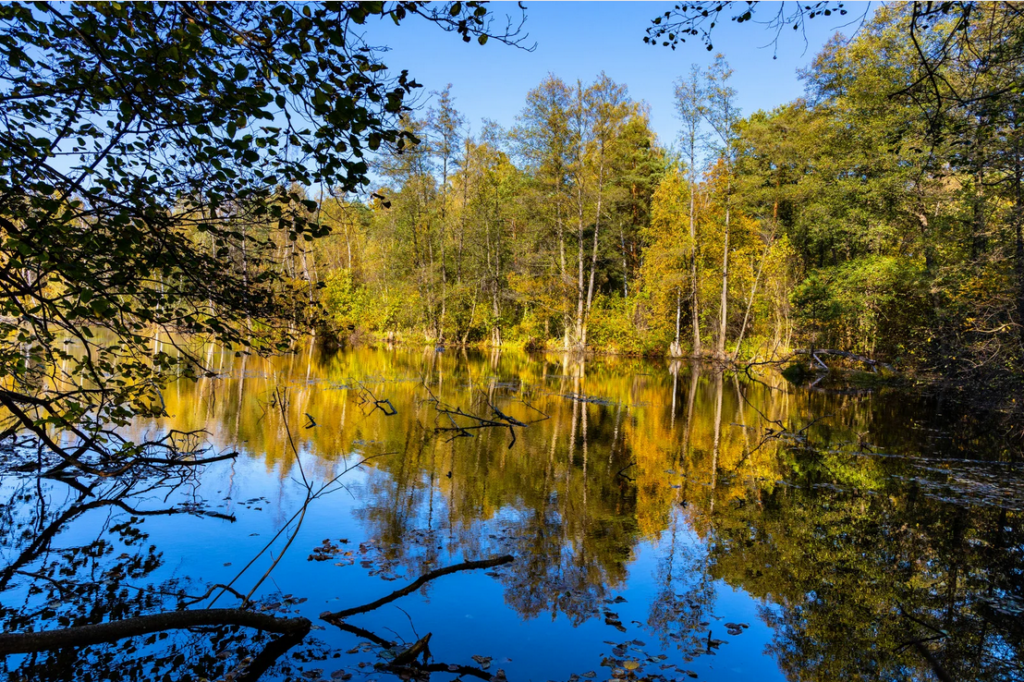 Jeziorka Duszatyńskie w Bieszczadach