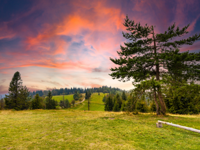 Beskid Mały: widok z Potrójnej