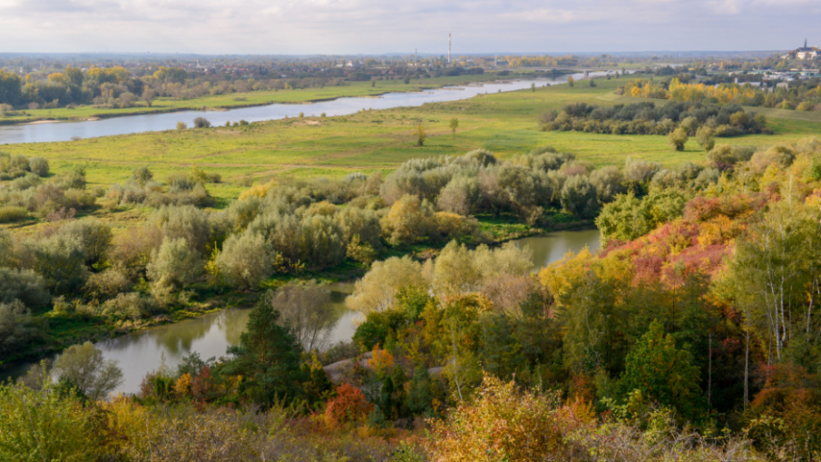 Kotlina Sandomierska 🍇 Sprawdź 6 pięknych miejsc i szlaków