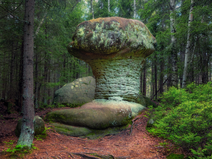 "Grzybek" - Park Narodowy Gór Stołowych