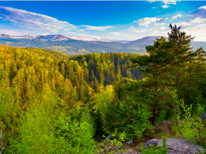 Widok na Karkonosze