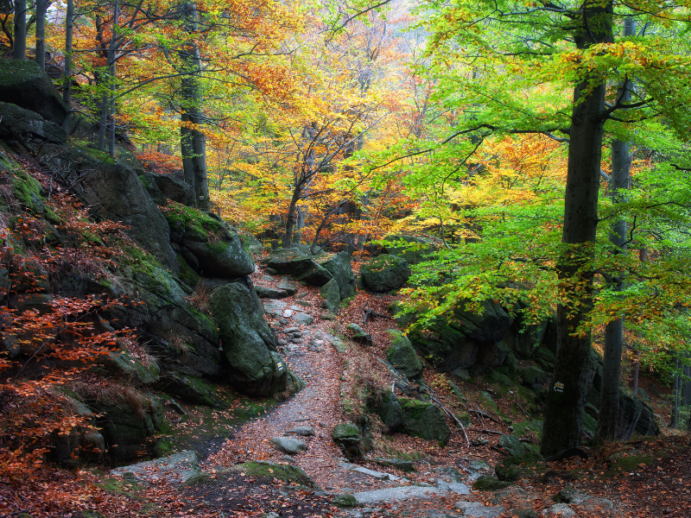 Karkonosze: szlak jesienią