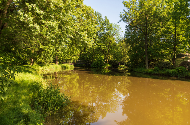 Kotlina Oświęcimska: Pszczyna